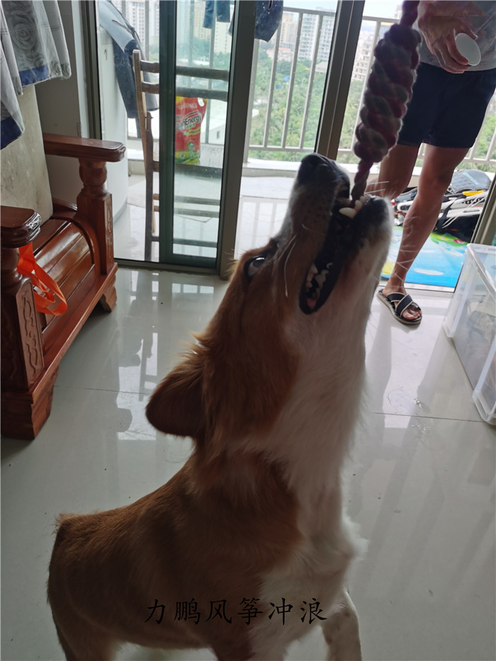 1625401543321748.jpg webwxgetmsgimg (26)_副本.jpg
